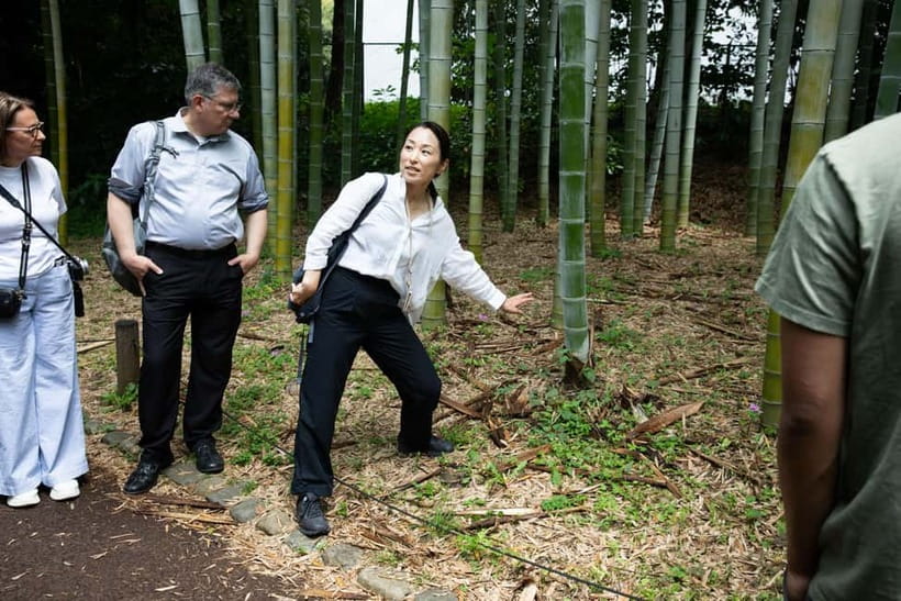 Tokyo: Imperial Palace East Gardens Walking Tour - Who should book this walking tour?
