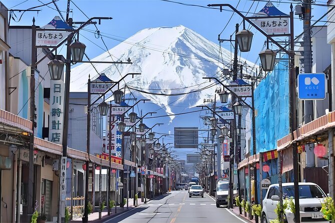 Tokyo: Instagram-Worthy Mt Fuji & Lake Kawaguchiko Day Trip - What Makes This Fuji Tour Worth Considering