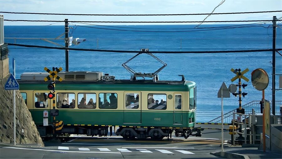 Tokyo: Kamakura & Enoshima Day Tour with Pickup & Train Ride - Transport, pickup, and the strict timing rules
