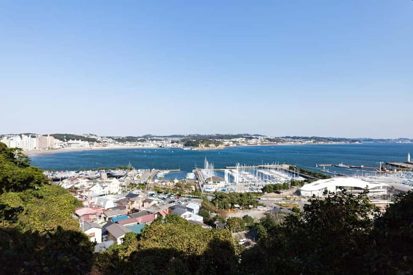 Tokyo: Kamakura & Enoshima Day Trip including Temple Tickets - Who should book this experience?