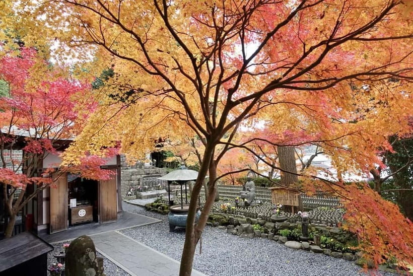 Tokyo: Kamakura & Enoshima Day Trip including Temple Tickets - Komachi Street: your best chance to eat