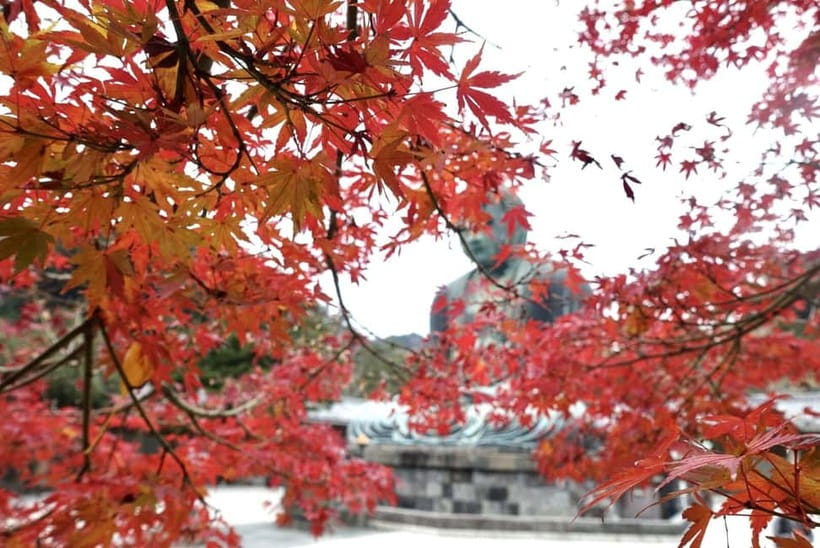 Tokyo: Kamakura & Enoshima Day Trip including Temple Tickets - Hasedera: flowers, views, and the Eleven-Headed Kannon