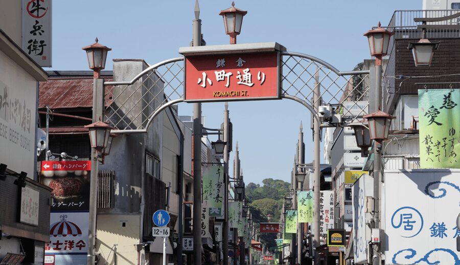 Tokyo: Kamakura & Enoshima Day Trip including Temple Tickets - The guide and the value of organized transport
