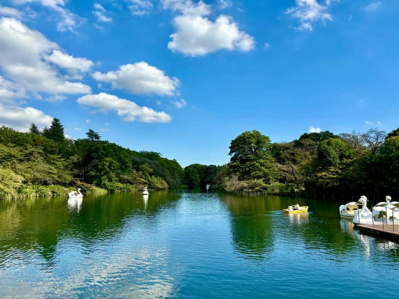 Tokyo: Kichijoji Walking Tour with Local Guide - Inokashira Park: the calm middle of the tour