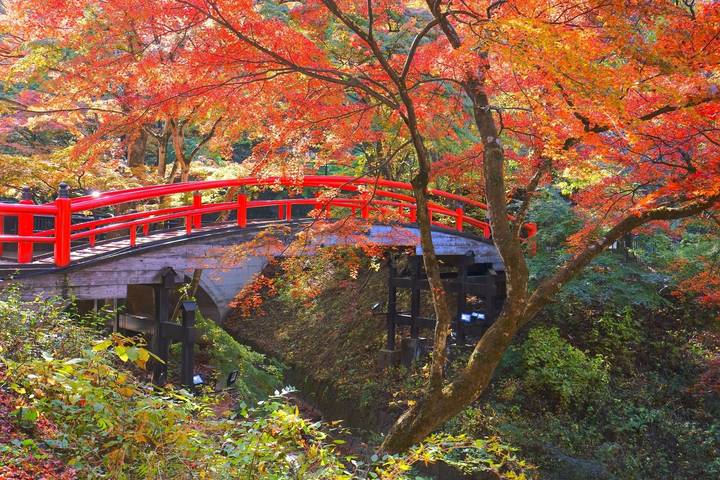 Tokyo, Kyoto, Alps and Fuji (including Yamanouchi) by Europamundo - 8-Day Tour - Tsumago, Matsumoto and the mountain route