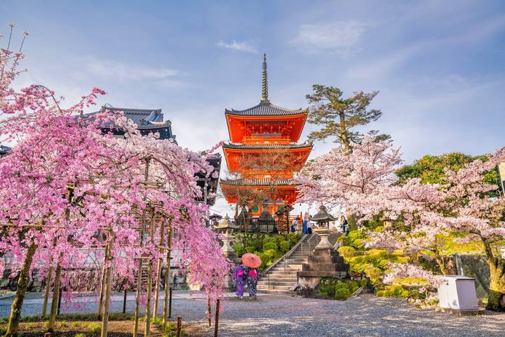 Tokyo, Kyoto and Hiroshima by Europamundo - 7-Day Tour Review - Kurashiki, Hiroshima, and Miyajima: a full final sightseeing day