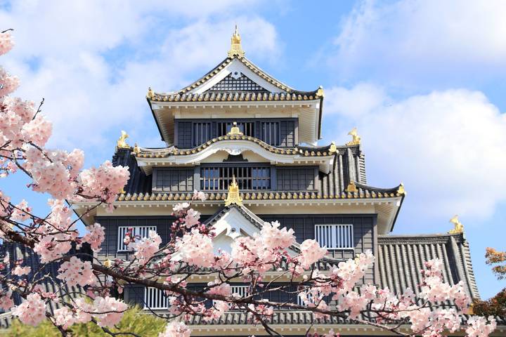 Tokyo, Kyoto and Hiroshima end Tokyo by Europamundo - 7-Day Tour Review - Kyoto: shrine gates and the Golden Pavilion