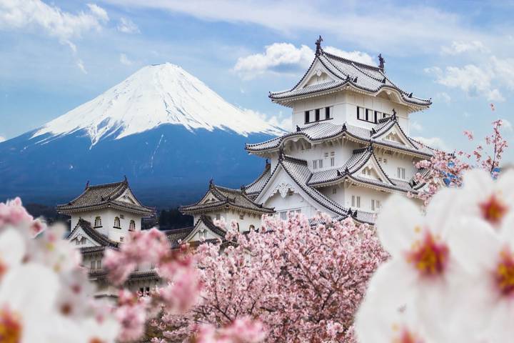 Tokyo, Kyoto and Hiroshima end Tokyo by Europamundo - 7-Day Tour Review - Hiroshima and Itsukushima: a day with two very different moods