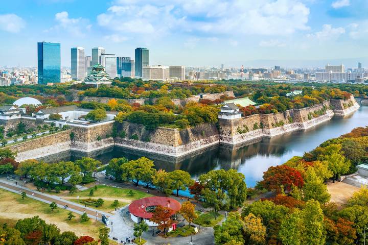 Tokyo, Kyoto and Hiroshima GO by Europamundo - 7-Day Tour Review - Nara and Osaka: giant Buddha, deer and neon streets