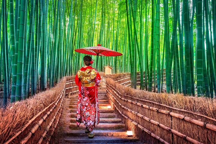 Tokyo, Kyoto and Osaka by Europamundo - 5-Day Tour Review - Who should book this tour?