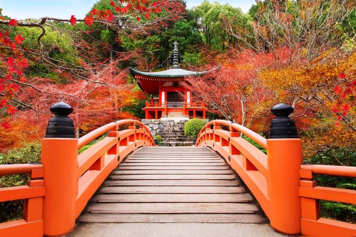 Tokyo, Kyoto and Osaka by Europamundo - 5-Day Tour Review - Day 2: Tokyo from Zojoji to Shinjuku