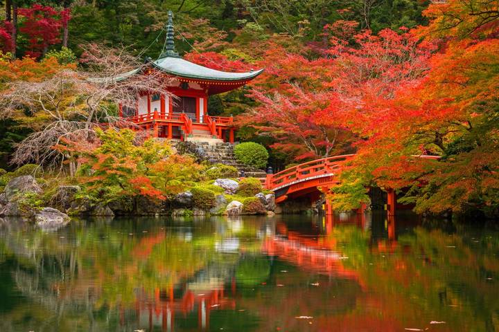 Tokyo, Kyoto and Osaka by Europamundo - 5-Day Tour Review - Day 4: Nara’s temple, then Osaka’s streets