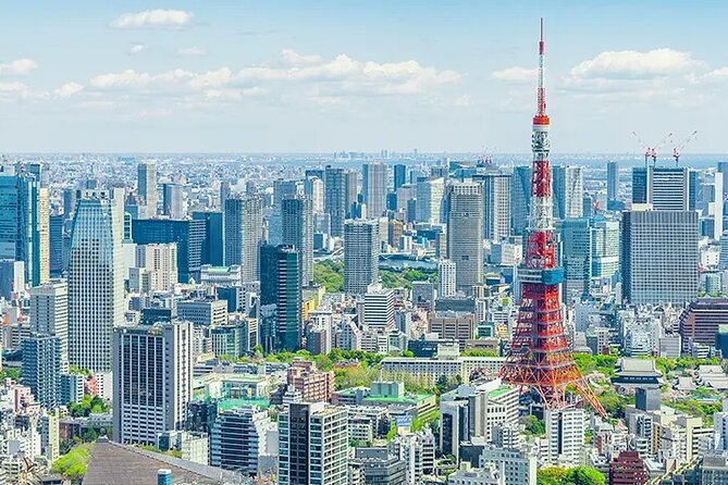 Tokyo Layover 5 Hours Private Tour - Is Five Hours Enough to See Tokyo?