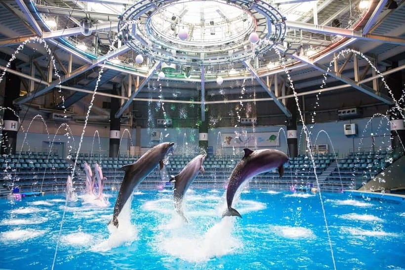 Tokyo: Maxell Aqua Park Shinagawa Direct Entry Ticket - Key points to know before you go