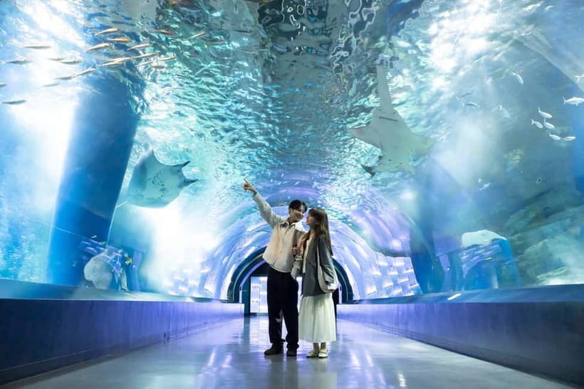 Tokyo: Maxell Aqua Park Shinagawa Direct Entry Ticket - A high-tech aquarium beside Shinagawa Station