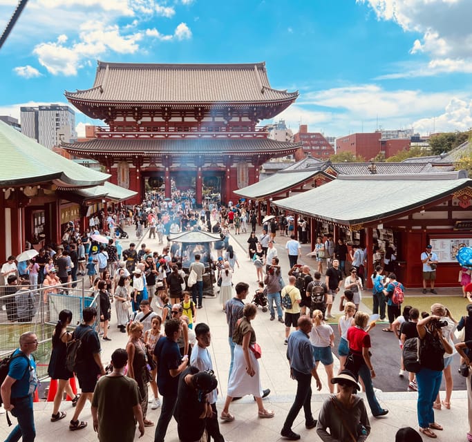 Tokyo: Meiji Jingu Shrine and Shinto Culture Walking Tour - From Harajuku coffee shops to sacred woodland