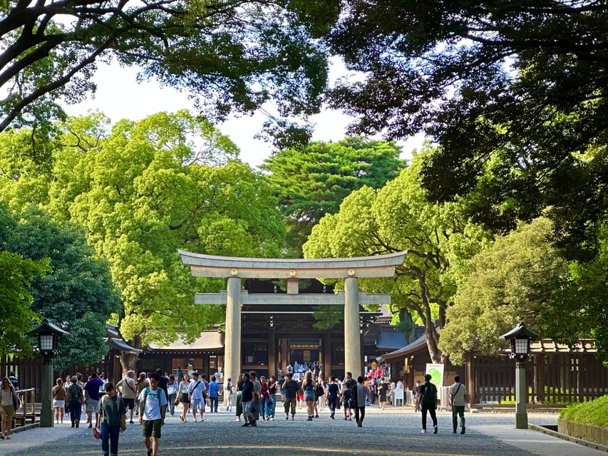 Tokyo: Meiji Jingu Shrine and Shinto Culture Walking Tour - Meiji Shrine: one hour for rituals, history, and questions