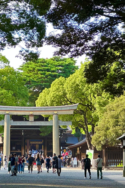 Tokyo: Meiji Jingu Shrine and Shinto Culture Walking Tour - Small groups and the chance of a private walk