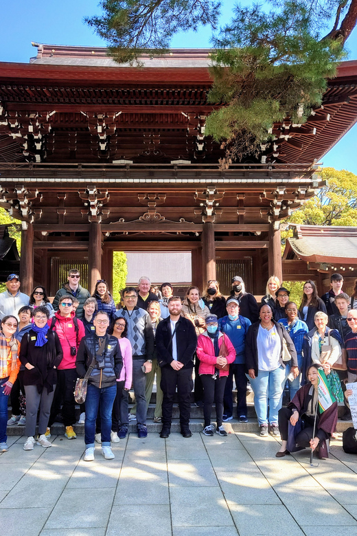 Tokyo: Meiji Shrine, Asakusa, Skytree Bus Tour and Cruise - Price, pace, and what the $122 covers