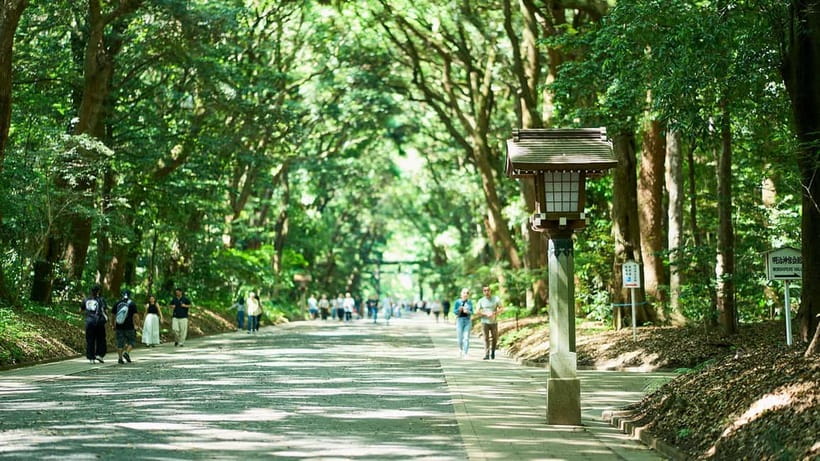 Tokyo: Meiji Shrine Walking Tour — Shinto & Imperial System - Starting at Harajuku Station