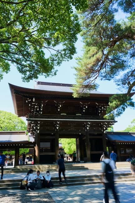 Tokyo: Meiji Shrine Walking Tour — Shinto & Imperial System - Walking into the forest and past the sake barrels