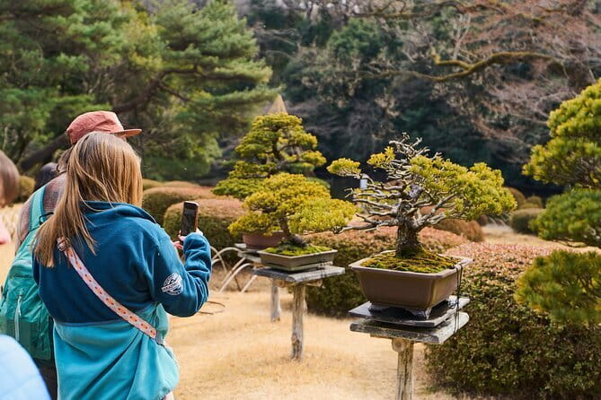 Tokyo: Meiji Shrine Walking Tour — Shintoism & Imperial System - Starting at Harajuku Station