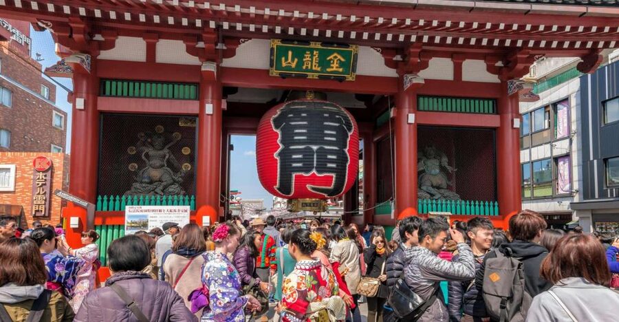 Tokyo: Morning Sightseeing Bus Tour - Meiji Shrine: forest, ritual, and a quiet reset