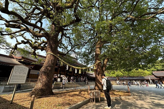 Tokyo Morning Tour : Meiji Shrine, Asakusa and Fish Market - Senso-ji and Asakusa: a strong finish