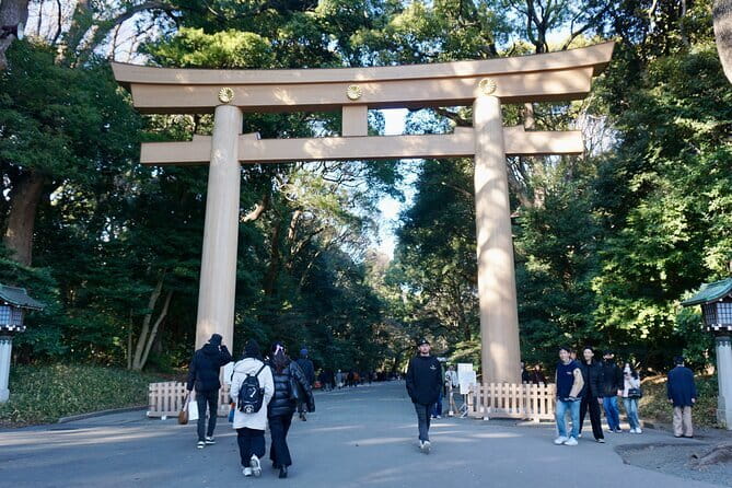 Tokyo Morning Tour : Meiji Shrine, Asakusa and Fish Market - Who should book this morning tour?