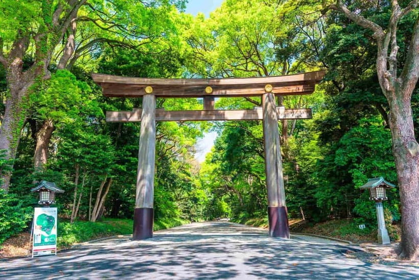 Tokyo Morning Tour: Meiji Shrine, Asakusa & Fish Market - Key points to know before booking