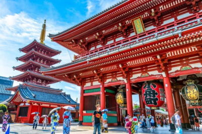 Tokyo Morning Tour: Meiji Shrine, Asakusa & Fish Market