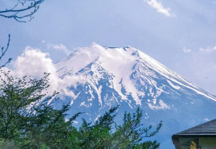 Tokyo: Mount Fuji 5th Station & Onsen Day Trip - At a glance: what matters most