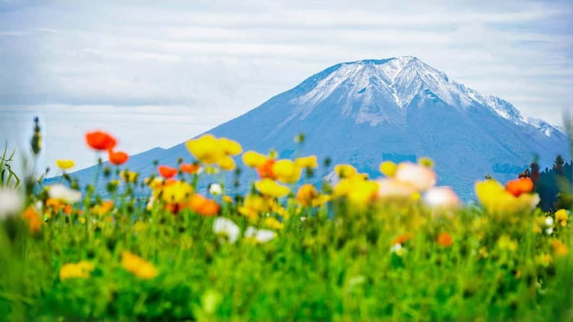 Tokyo: Mount Fuji 5th Station & Onsen Day Trip - Shintaku-yama Asama Park and the famous Fuji photograph