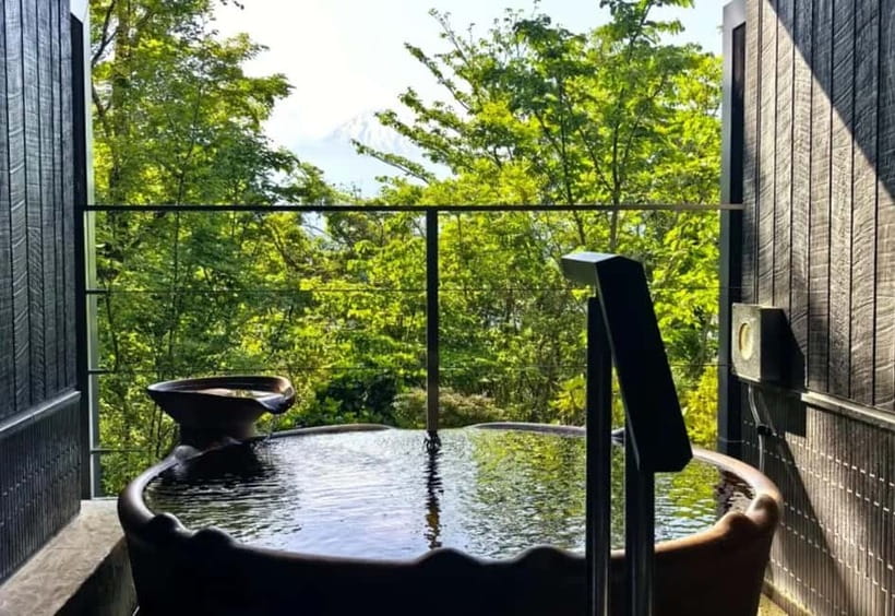 Tokyo: Mount Fuji 5th Station & Onsen Day Trip - What the guide service is really like