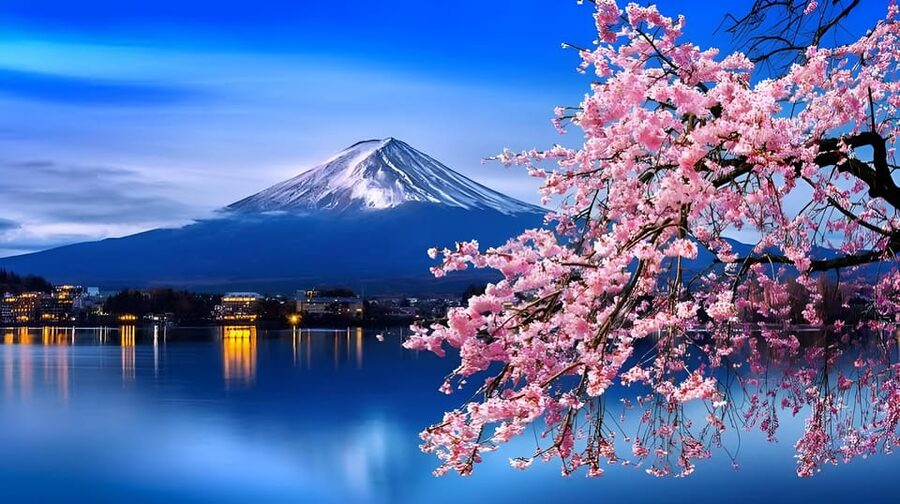 Tokyo: Mount Fuji and Hakone private sightseeing tour - What this private Fuji and Hakone day is really like