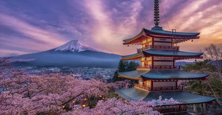 Tokyo: Mount Fuji & Hakone Private Tour with Guide - Key points at a glance