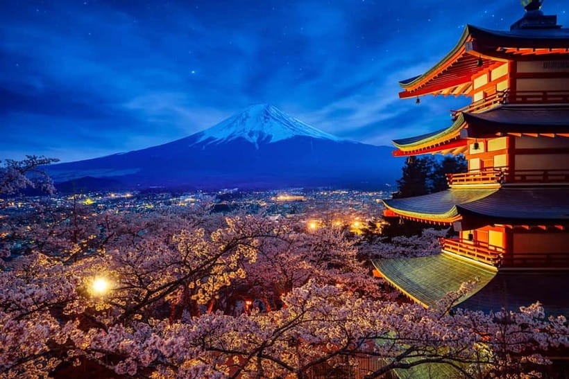 Tokyo: Mount Fuji & Hakone Private Tour with Guide - Price, extras, and who gets good value