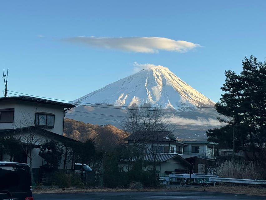 Tokyo: Mount Fuji & Hakone Private Tour with Guide - Chureito Pagoda, the day’s signature photograph