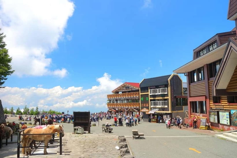 Tokyo: Mt. Fuji 5th St, Gotemba & Hakone by Luxury Bus - Gotemba Premium Outlets: 105 minutes for lunch and shopping