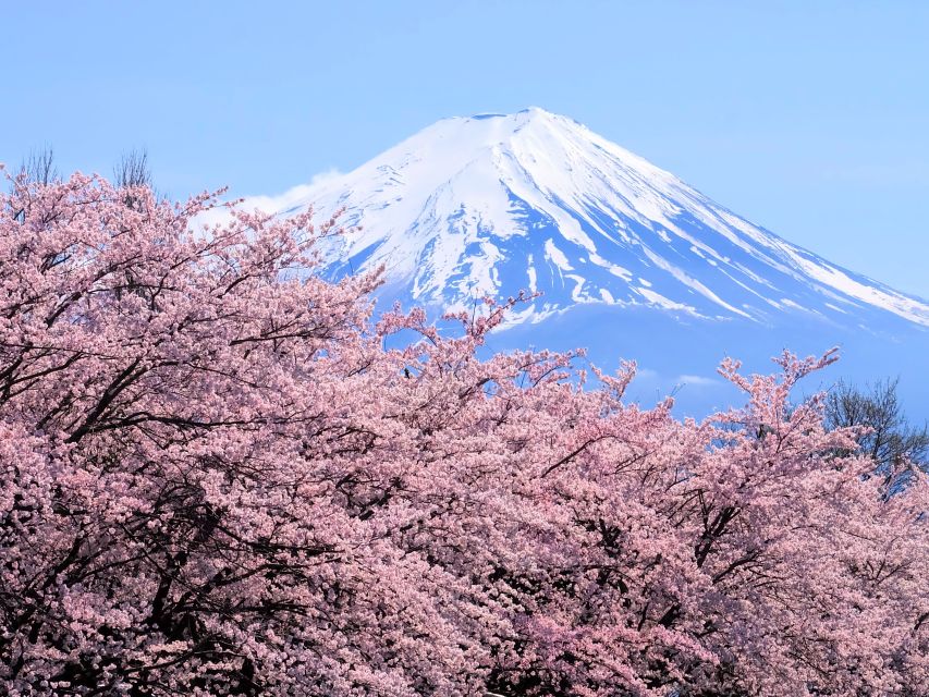 Tokyo: Mt. Fuji 5th Station & Hakone Cruise 1-Day Bus Tour - Key points to know before booking