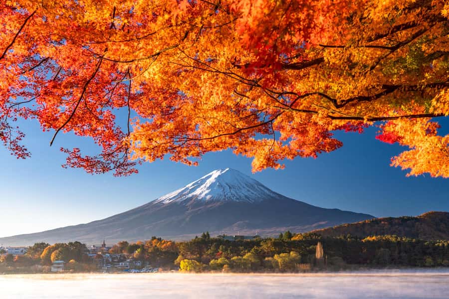 Tokyo: Mt. Fuji 5th Station, Kawaguchiko Tour w/ Cable Car - Key things to know before booking
