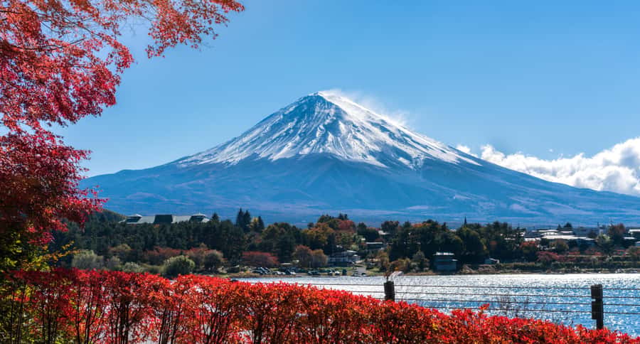 Tokyo: Mt. Fuji 5th Station, Kawaguchiko Tour w/ Cable Car - The bus ride, traffic, and pace