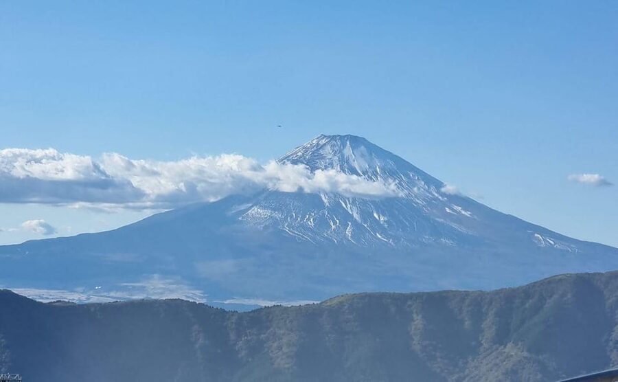 Tokyo: Mt. Fuji and Hakone Tour with Cable Car and Cruise - Accessibility and practical comfort