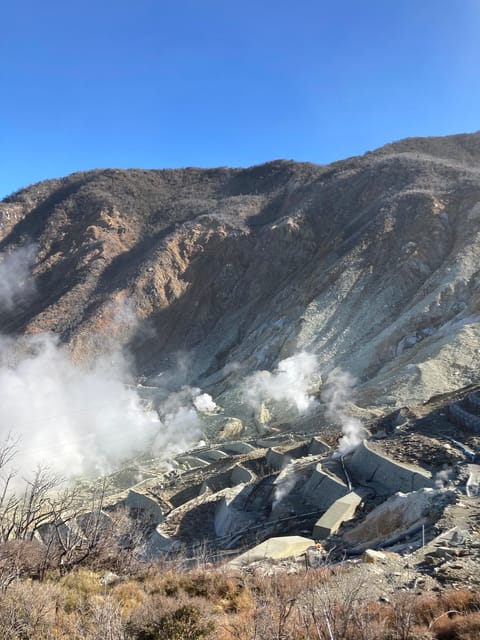 Tokyo: Mt. Fuji and Hakone Tour with Cable Car and Cruise - Lake Ashi cruise and the best Fuji gamble