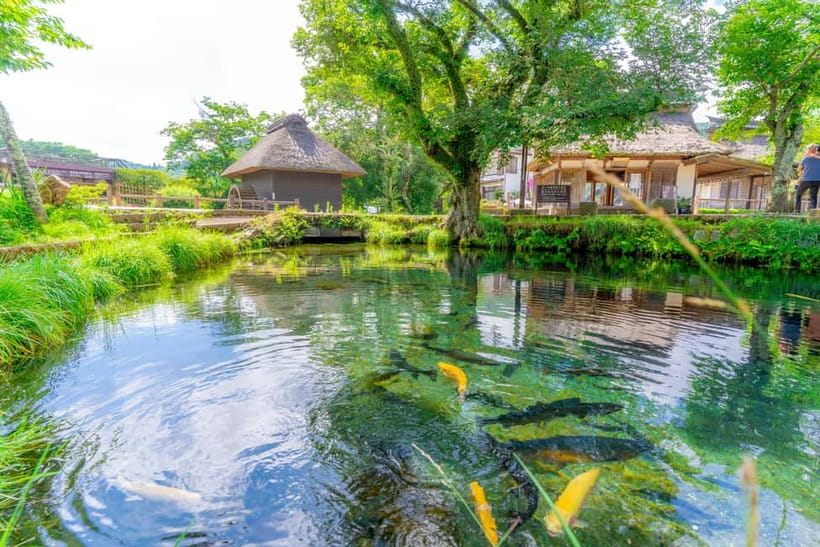 Tokyo: Mt. Fuji, Arakurayama Sengen Park, Oshino Hakkai Tour - Who will enjoy this Mount Fuji day trip?