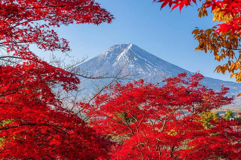 Tokyo: Mt. Fuji, Arakurayama Sengen Park, Oshino Hakkai Tour - Leaving Shinjuku for the Fuji Five Lakes area
