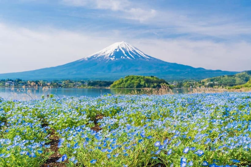 Tokyo: Mt. Fuji, Arakurayama Sengen Park, Oshino Hakkai Tour - Oshino Hakkai and its clear spring water