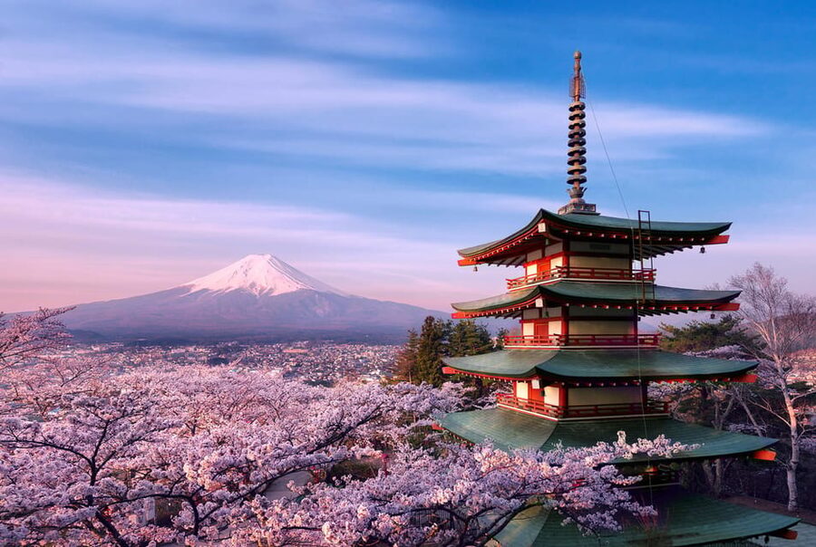 Tokyo:Mt Fuji & Hakone Day Tour with English Speaking Driver - Key points to know before booking
