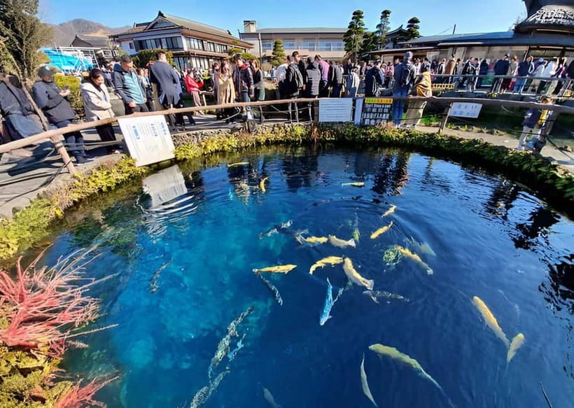 Tokyo: Mt. Fuji & Hakone Private Custom Tour English Driver - The Hakone Open-Air Museum and other alternatives