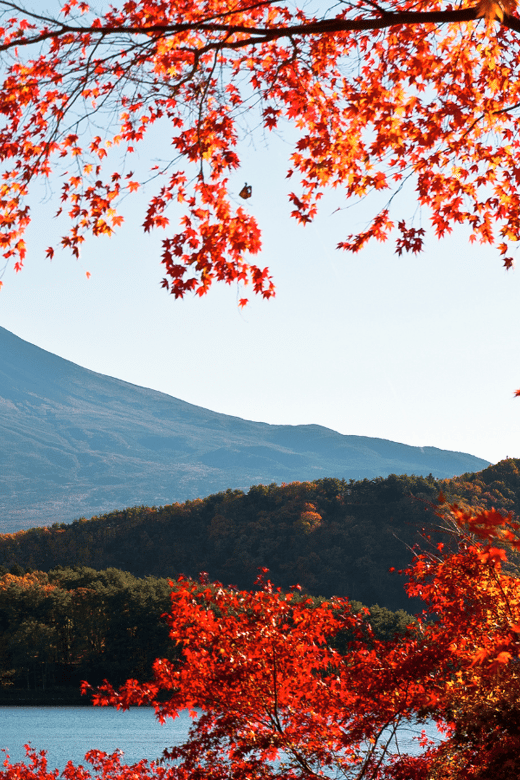 Tokyo: Mt. Fuji Hidden Gems and Aokigahara Forest Tour - The details that shape your day